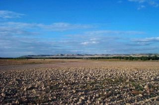 Páramos de Alcazarén desde el Mosquín