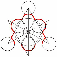 Desarrollo geométrico de la planta.